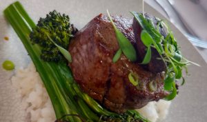 多様性を考える